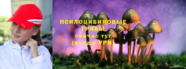спайс Алексин