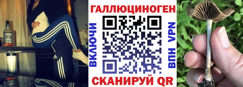 кракен tor  Волоколамск  Галлюциногенные грибы Psilocybe  цены  