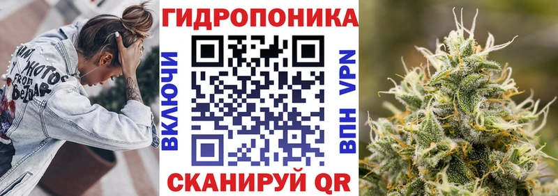 KRAKEN как войти Волоколамск Шишки марихуана план